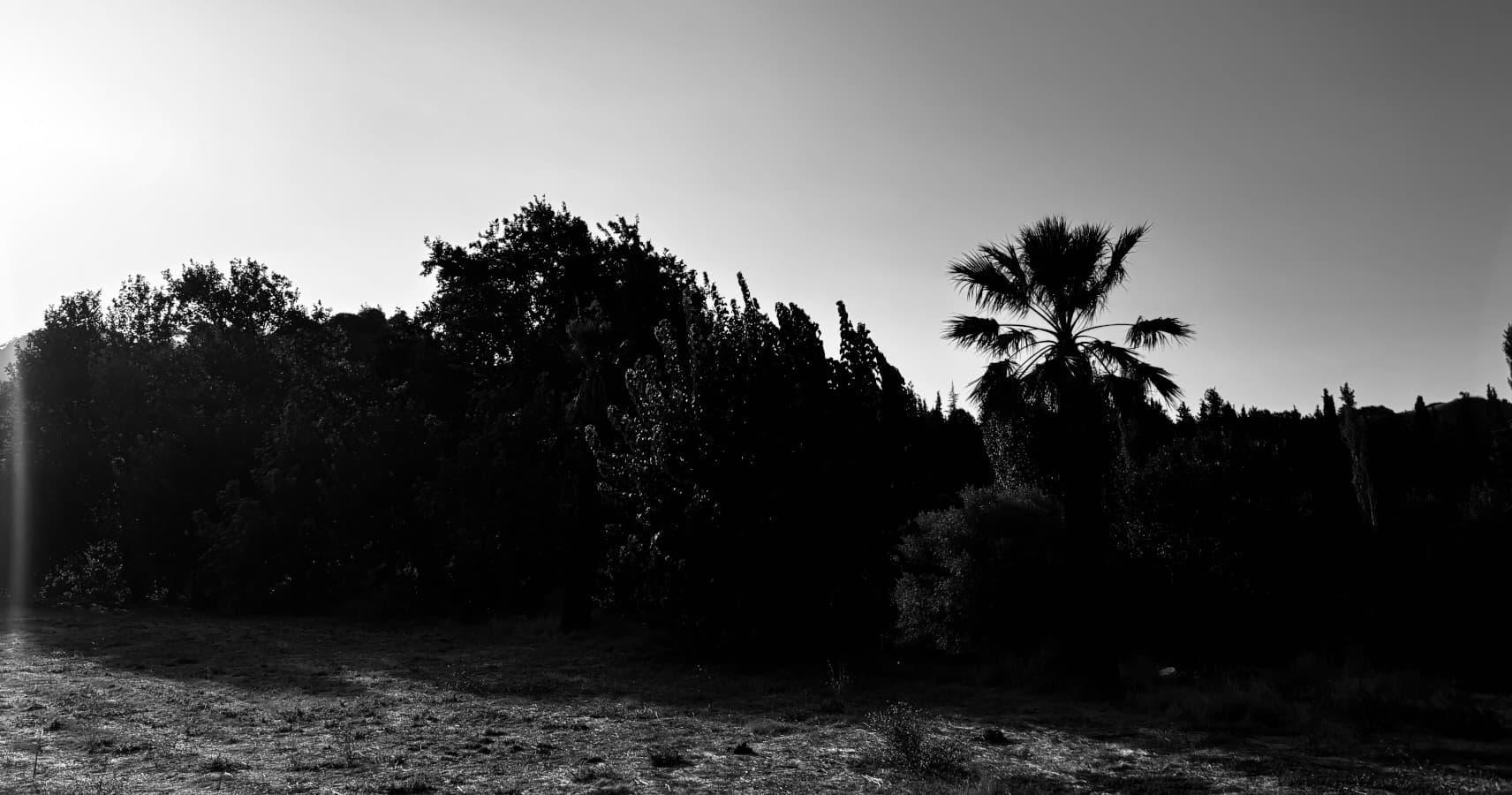 Desertlike
